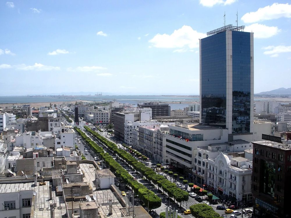 OZ Cars — place tunis