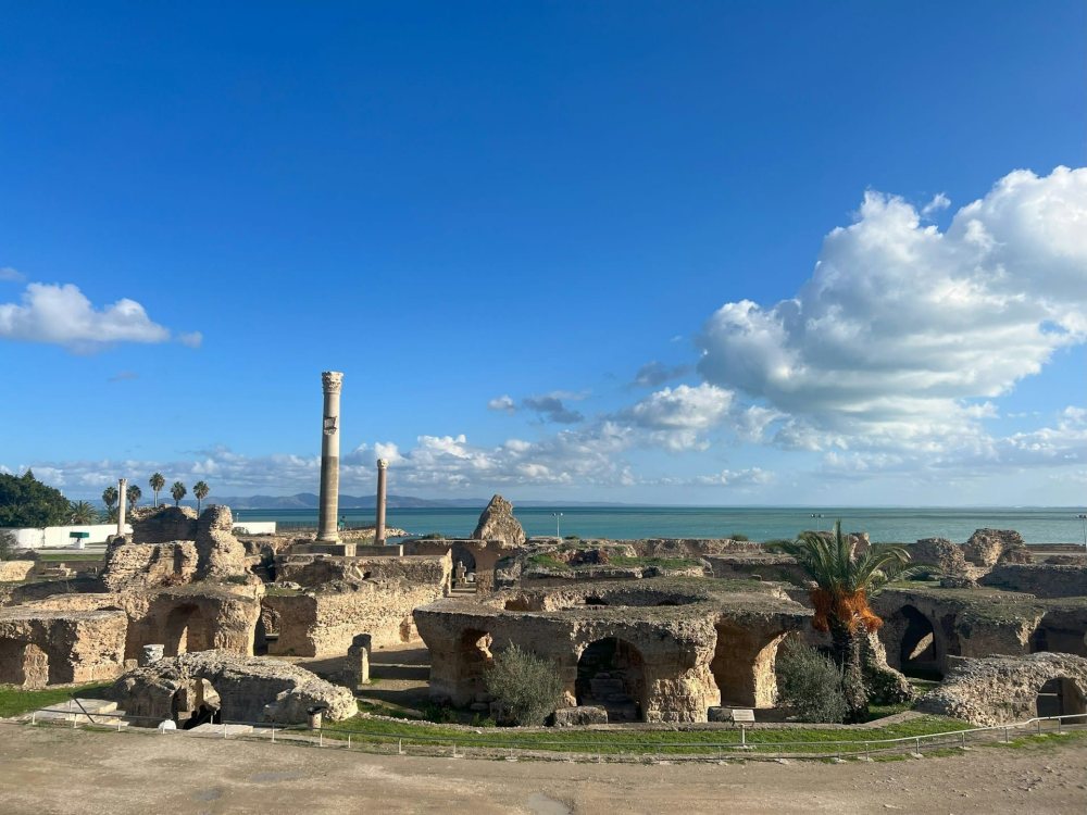 OZ Cars — tunis carthage exc 2